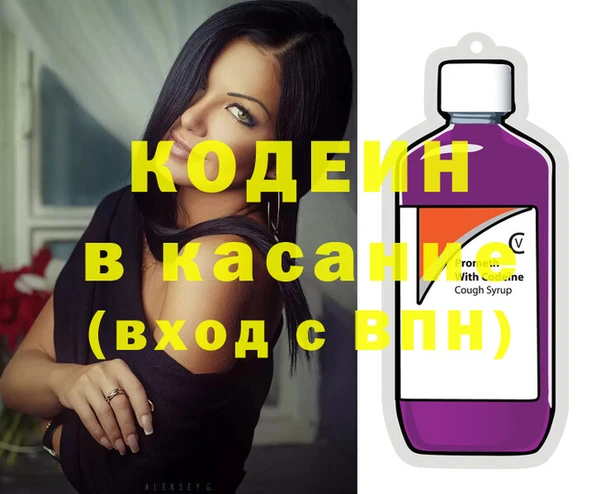 крисы Алексин