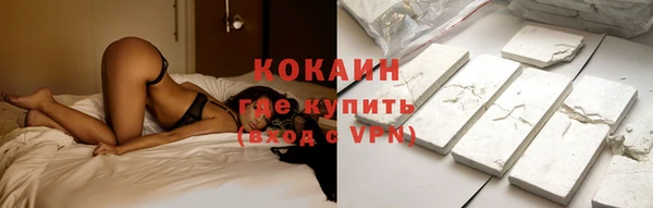 прущие крисы Горняк
