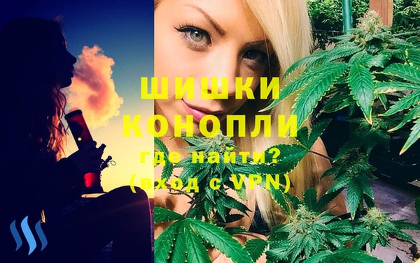 ГАЛЛЮЦИНОГЕННЫЕ ГРИБЫ Горнозаводск
