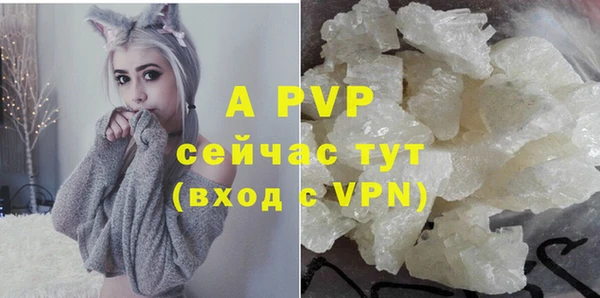 крисы Алексин